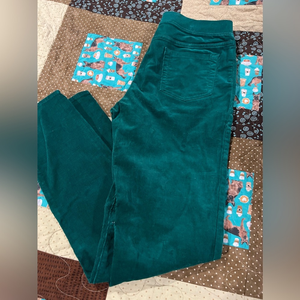 Lands End girls size 16 nwot whale cord pull on pants.